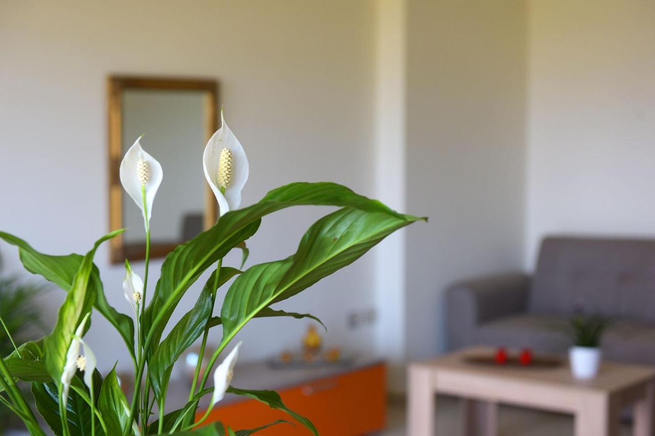 Stelia Luxury Apartments Kalavárda Buitenkant foto